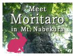 Meet Moritaro at Mt. Nabekura 