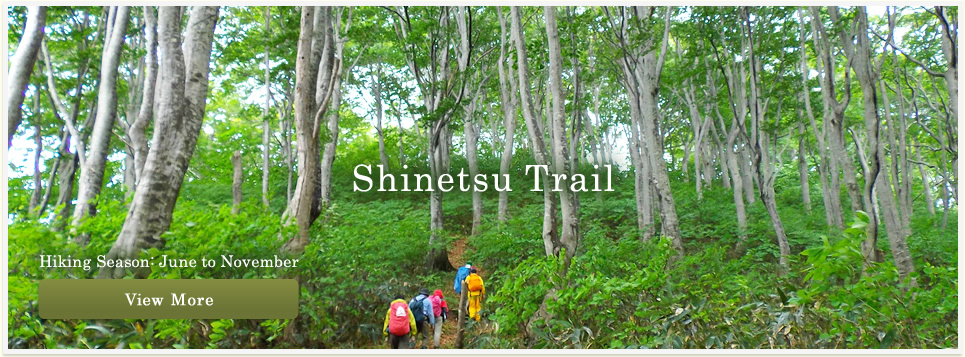 Shinetsu Trail Promotional Video (English)