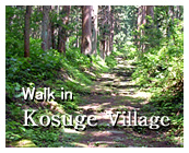 Walk in Kosuge Village