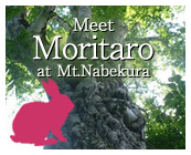 Meet Moritaro at Mt. Nabekura 