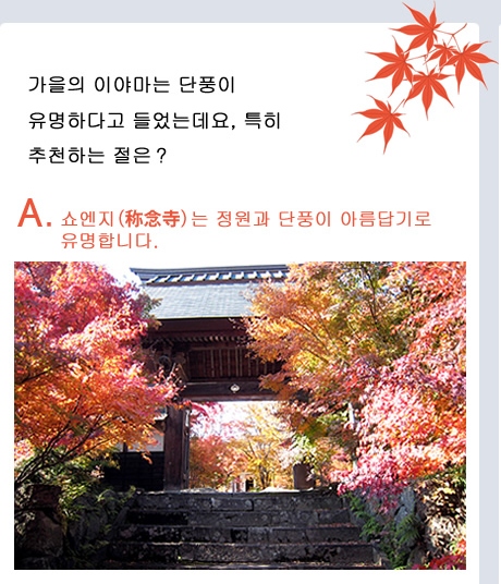 가을의 이야마는 단풍이 유명하다고 들었는데요, 특히 추천하는 절은?　A. 쇼엔지(称念寺)는 정원과 단풍이 아름답기로 유명합니다.