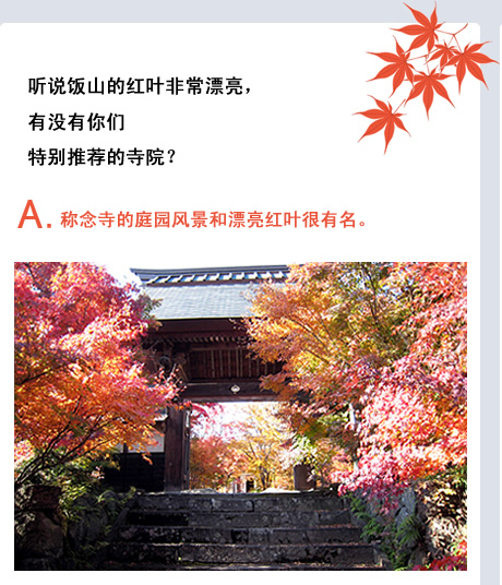 听说饭山的红叶非常漂亮，有没有你们特别推荐的寺院？A.称念寺的庭园风景和漂亮红叶很有名。